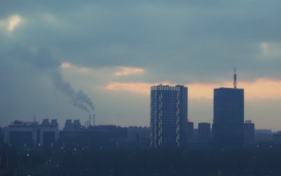 How Your Lungs Work?