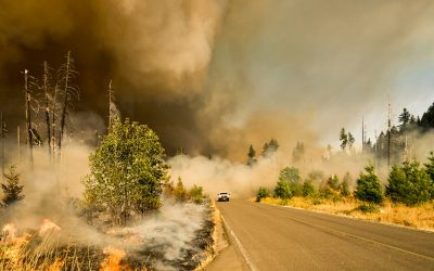 At Least One Reported Dead in New Mexico as Wildfires Rage Near Communities